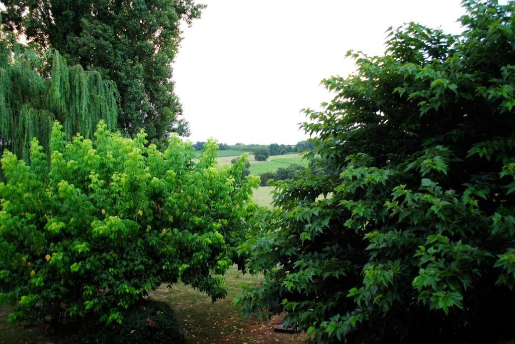 فندق Les Foucauds Saint-Quentin-de-Caplong الغرفة الصورة